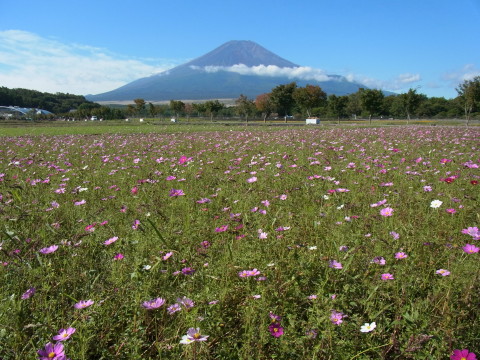 2011/10/04の写真