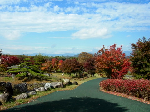 2011/10/25の写真