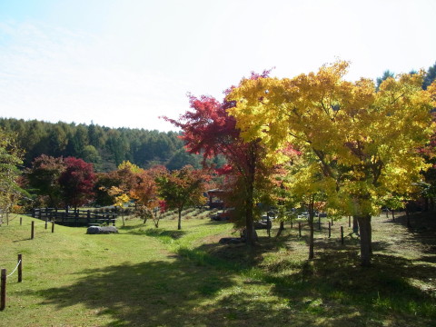 2011/10/25の写真