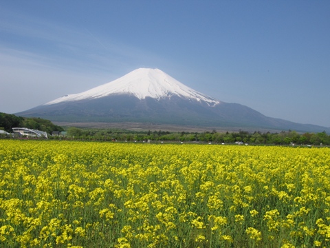 2007/05/21の写真