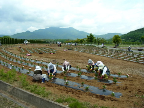 2012/06/07の写真