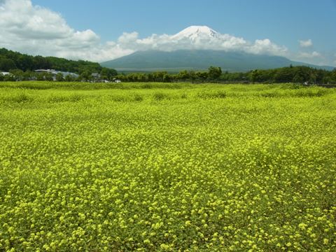 2012/06/14の写真