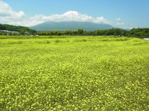 2012/06/14の写真