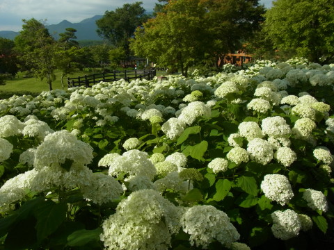 2012/07/17の写真