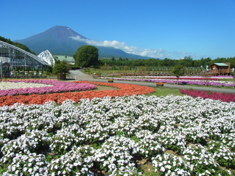 2012/08/20の写真