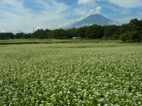 2012/09/06の写真