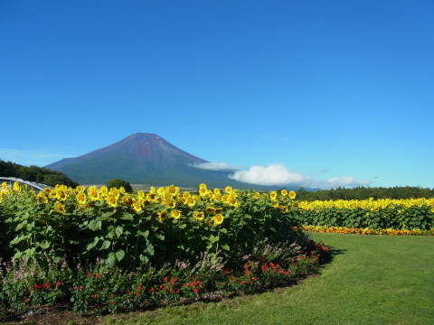 2012/09/16の写真