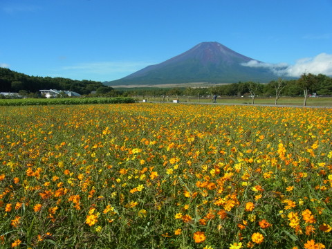 2012/09/16の写真