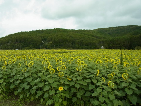 2012/09/25の写真