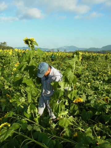 2012/10/05の写真