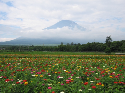 2007/07/25の写真