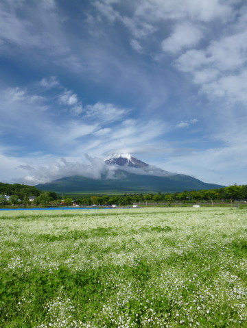 2013/06/22の写真