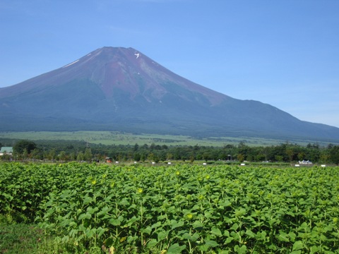 2007/08/09の写真