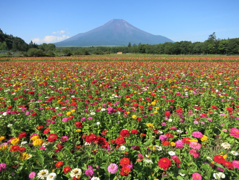 2013/08/07の写真