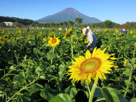 2013/09/18の写真