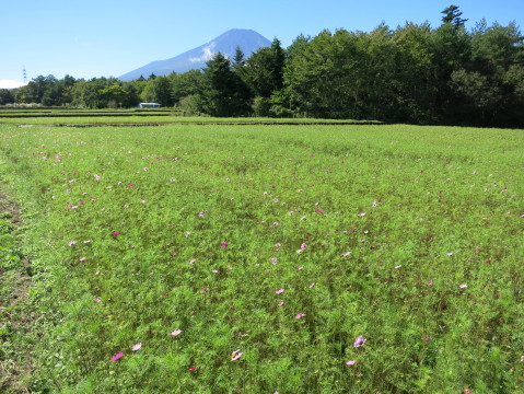 2013/10/11の写真