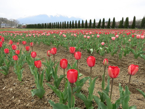 2014/05/06の写真