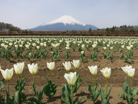 2014/05/08の写真