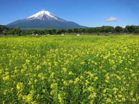 2014/06/13の写真