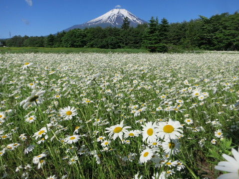 2014/06/13の写真