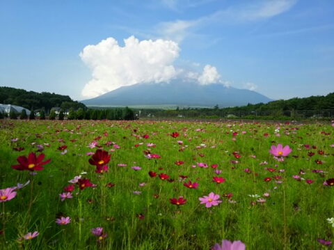 2015/08/07の写真