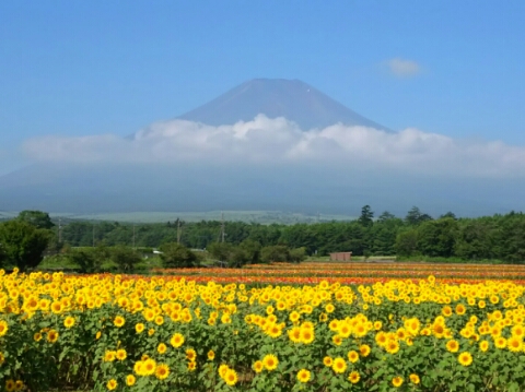 2015/08/09の写真