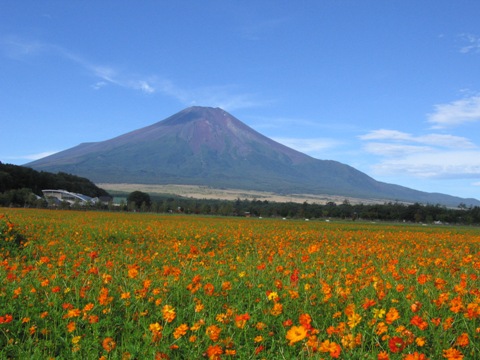 2007/09/18の写真