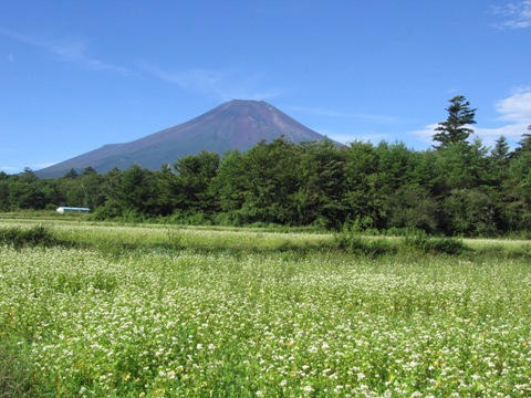 2007/09/18の写真