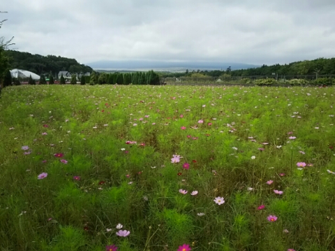 2015/09/15の写真