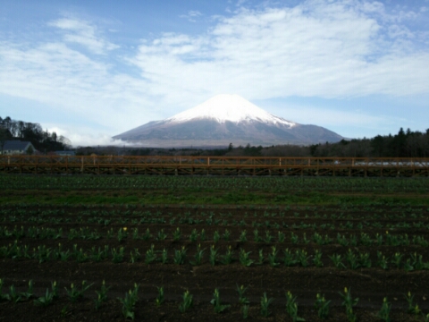 2016/04/18の写真