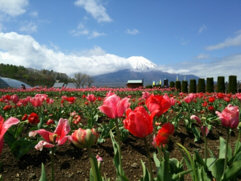 2016/04/29の写真