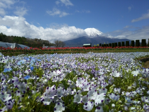 2016/04/29の写真