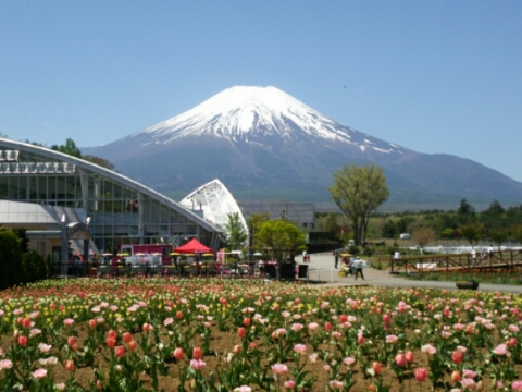 2016/05/05の写真