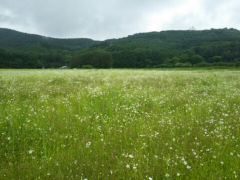 2016/06/21の写真