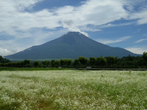 2016/06/25の写真