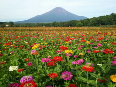 2016/08/09の写真