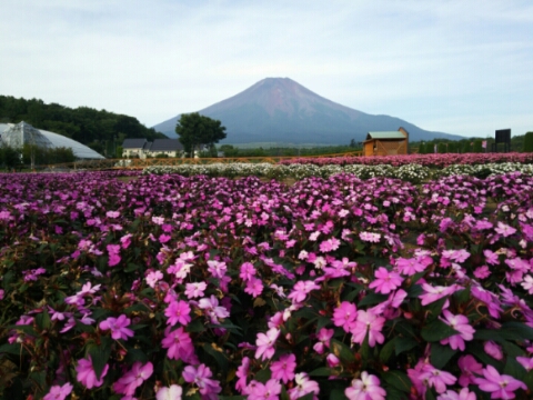 2016/08/09の写真