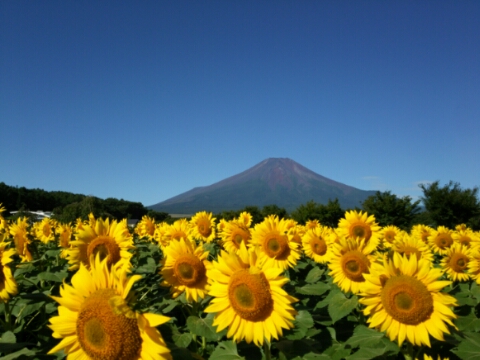 2016/08/17の写真