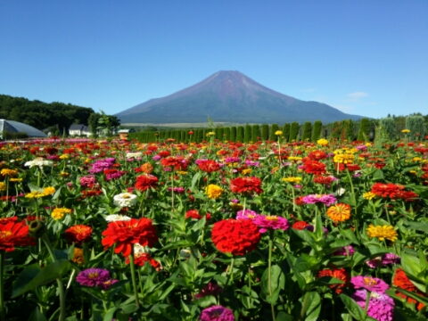 2016/08/17の写真