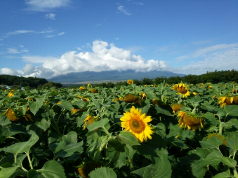 2016/08/23の写真