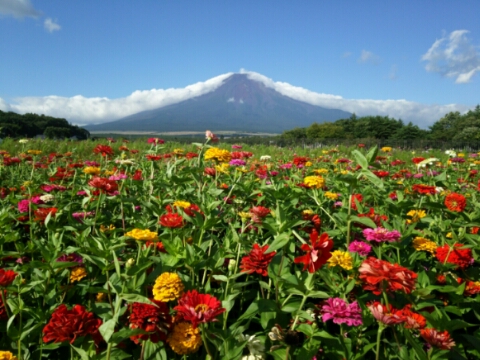 2016/08/31の写真