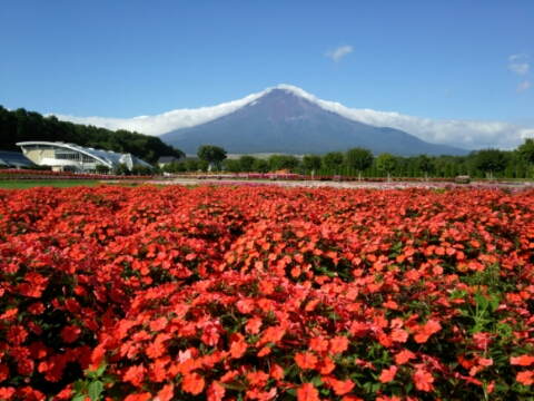 2016/08/31の写真