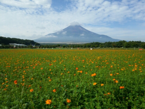 2016/09/17の写真