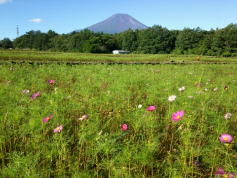 2016/09/27の写真