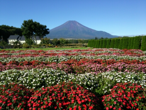 2016/09/27の写真