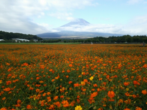 2016/10/07の写真