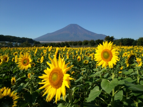 2016/10/20の写真