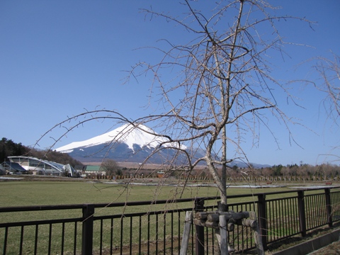 2008/04/05の写真