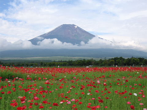 2006/07/07の写真