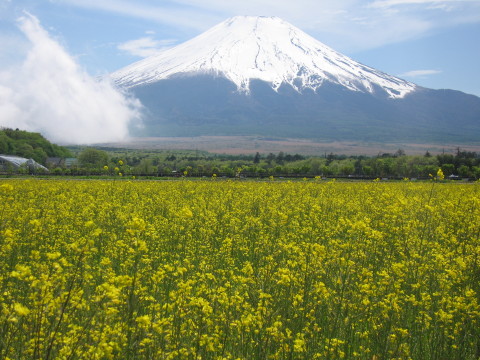 2008/05/20の写真